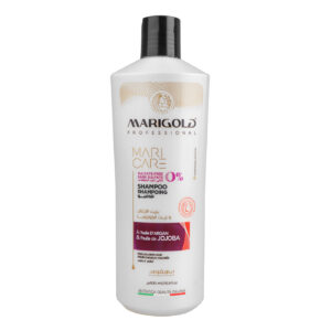 Shampoing sans sulfate à l&rsquo;Huile d&rsquo;Argan et Huile de Jojoba