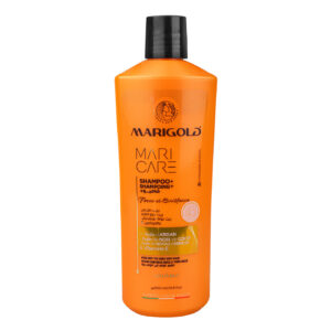 Shampooing de soin 500ml huile d&rsquo;argan & huile de coco